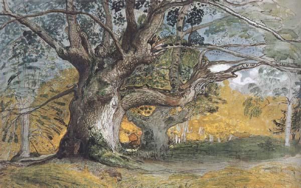 Samuel Palmer Oak Trees,Lullingstone Park France oil painting art